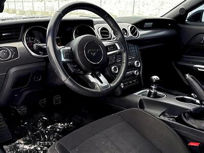 2018 Ford Mustang EcoBoost  Fastback - Photo 9 - Acheson, AB T7X 5A3