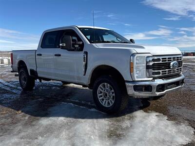 2023 Ford F-250 Super Duty XLT  7.3L Crew Cab - Photo 7 - Acheson, AB T7X 5A3