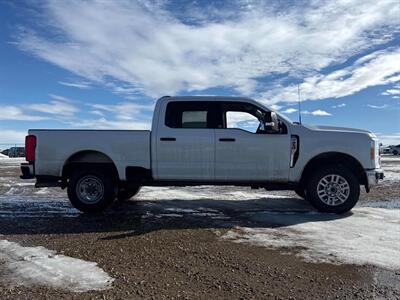 2023 Ford F-250 Super Duty XLT  7.3L Crew Cab - Photo 6 - Acheson, AB T7X 5A3
