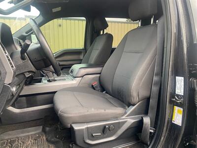 2019 Ford F-150 XLT Sport 5.0L 4x4 - Photo 11 - St Albert, AB T8N 3Z7