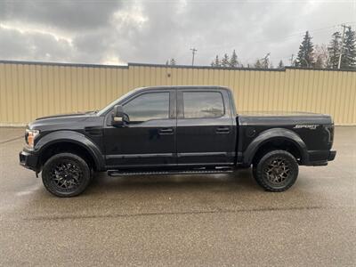 2019 Ford F-150 XLT Sport 5.0L 4x4 - Photo 2 - St Albert, AB T8N 3Z7