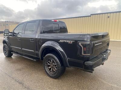 2019 Ford F-150 XLT Sport 5.0L 4x4 - Photo 8 - St Albert, AB T8N 3Z7