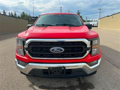 2023 Ford F-150 XLT   - Photo 3 - St Albert, AB T8N 3Z7
