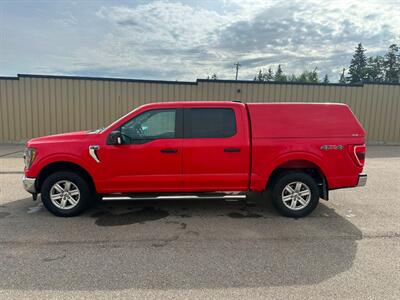 2023 Ford F-150 XLT   - Photo 2 - St Albert, AB T8N 3Z7
