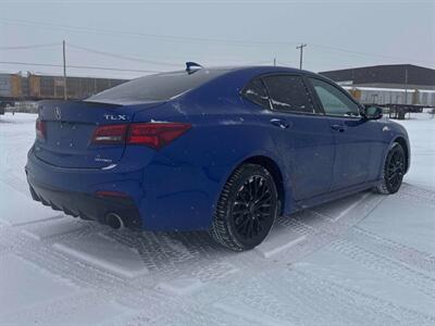 2020 Acura TLX SH-AWD V6 w/Advance   - Photo 6 - Edmonton, AB T5L 2J7