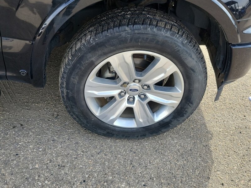2019 Ford F-150 Platinum 5.0L 4x4 - Photo 13 - St Albert, AB T8N 3Z7