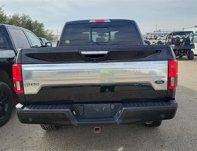 2019 Ford F-150 Platinum 5.0L 4x4 - Photo 5 - St Albert, AB T8N 3Z7