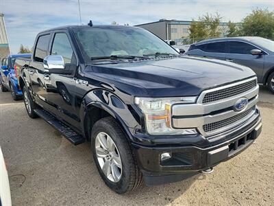 2019 Ford F-150 Platinum 5.0L 4x4 - Photo 3 - St Albert, AB T8N 3Z7