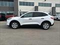 2021 Ford Escape S   - Photo 3 - Acheson, AB T7X 5A3