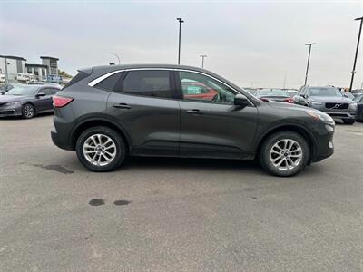 2020 Ford Escape SE  AWD - Photo 7 - Acheson, AB T7X 5A3