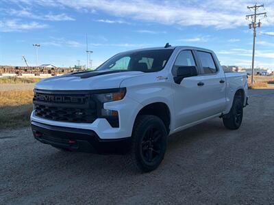 2023 Chevrolet Silverado 1500 Custom Trail Boss 5.3L  4x4 Truck