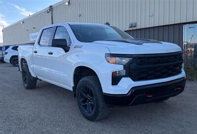 2023 Chevrolet Silverado 1500 Custom Trail Boss 5.3L 4x4 - Photo 5 - St Albert, AB T8N 3Z7