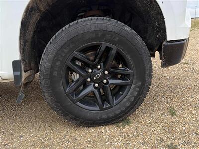 2023 Chevrolet Silverado 1500 Custom Trail Boss 5.3L 4x4 - Photo 17 - St Albert, AB T8N 3Z7