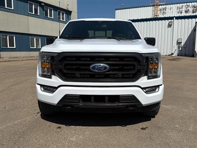 2021 Ford F-150 XLT Sport  4X4 - Photo 6 - St Albert, AB T8N 3Z7