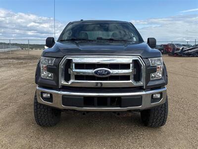 2017 Ford F-150 XLT  4x4 - Photo 8 - Edmonton, AB T5L 2J7