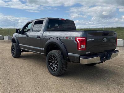 2017 Ford F-150 XLT  4x4 - Photo 3 - Edmonton, AB T5L 2J7