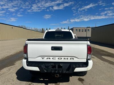 2021 Toyota Tacoma TRD Sport Premium  4x4 - Photo 7 - St Albert, AB T8N 3Z7