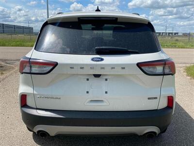 2020 Ford Escape Hybrid Titanium - Photo 6 - Edmonton, AB T5L 2J7