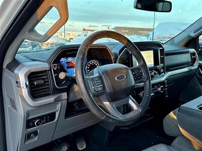 2023 Ford F-150 XLT XTR  4X4 - Photo 8 - St Albert, AB T8N 3Z7