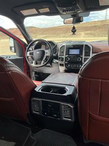 2019 Ford F-250 Super Duty Platinum - Photo 13 - Hurricane, UT 84737
