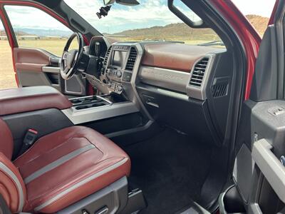 2019 Ford F-250 Super Duty Platinum - Photo 11 - Hurricane, UT 84737