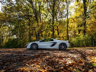 2015 McLaren 650S   - Photo 85 - Nashville, TN 37217