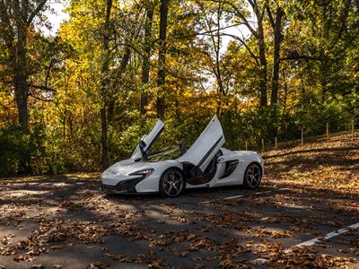 2015 McLaren 650S   - Photo 86 - Nashville, TN 37217