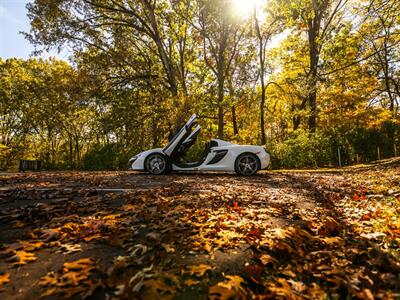 2015 McLaren 650S   - Photo 87 - Nashville, TN 37217