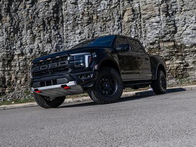 2024 Ford F-150 Raptor   - Photo 94 - Nashville, TN 37217