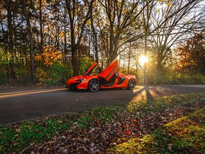 2015 McLaren 650S   - Photo 78 - Nashville, TN 37217