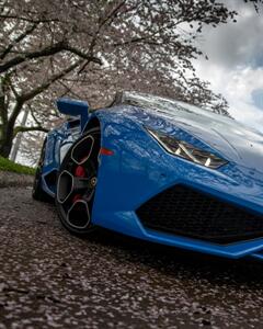 2016 Lamborghini Huracan LP 610-4 Spyder   - Photo 94 - Nashville, TN 37217