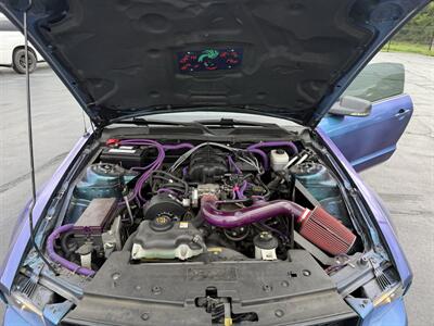 2005 Ford Mustang V6 Deluxe - Photo 13 - Cahokia, IL 62206