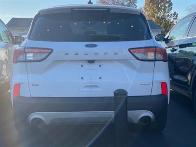 2020 Ford Escape SE   - Photo 4 - Belleville, IL 62226