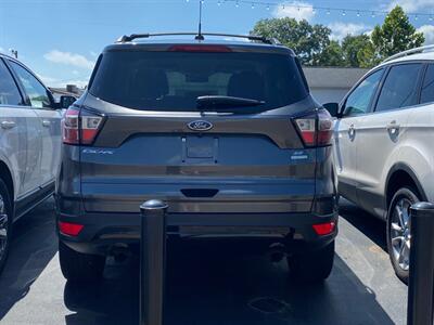 2017 Ford Escape SE   - Photo 6 - Belleville, IL 62226