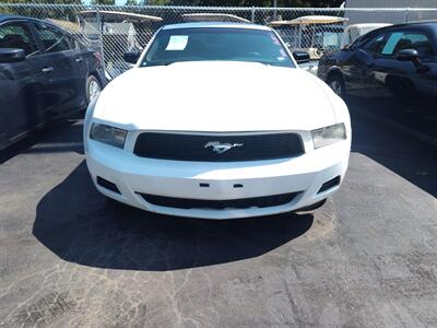 2011 Ford Mustang V6 Premium   - Photo 3 - Freeburg, IL 62243