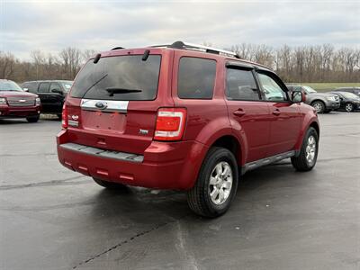 2010 Ford Escape Limited - Photo 5 - Cahokia, IL 62206