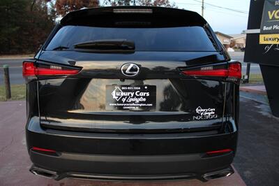 2019 Lexus NX 300   - Photo 10 - Lexington, SC 29073