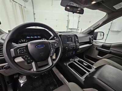 2016 Ford F-150 XL   - Photo 11 - Spring City, PA 19475