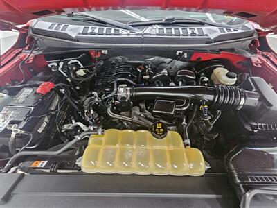 2019 Ford F-150 XL   - Photo 9 - Spring City, PA 19475