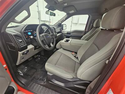 2019 Ford F-150 XL   - Photo 10 - Spring City, PA 19475
