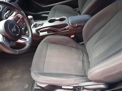 2019 Ford Mustang EcoBoost   - Photo 13 - Albuquerque, NM 87107