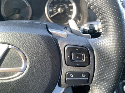 2015 Lexus NX 200t F SPORT - Photo 25 - Palatine, IL 60074