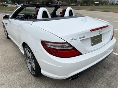 2015 Mercedes-Benz SLK 250 AMG STYLE PKG SPT SUSPENSION PANO 31K MLS   - Photo 8 - Houston, TX 77031