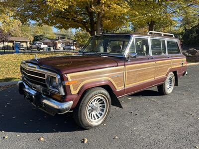 1989 Jeep Grand Wagoneer 4dr SUV
