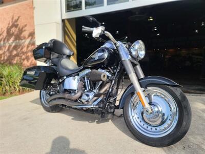 2013 Harley-Davidson Softail FLSTF  FLSTF - Photo 2 - Palm Bay, FL 32905