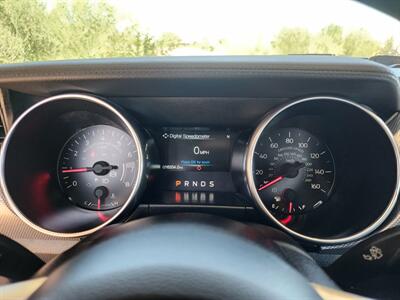 2019 Ford Mustang EcoBoost   - Photo 28 - Fountain Hills, AZ 85268