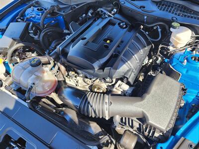 2019 Ford Mustang EcoBoost   - Photo 11 - Fountain Hills, AZ 85268