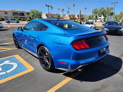 2019 Ford Mustang EcoBoost   - Photo 5 - Fountain Hills, AZ 85268