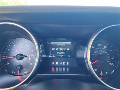 2019 Ford Mustang EcoBoost   - Photo 46 - Fountain Hills, AZ 85268