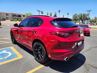 2021 Alfa Romeo Stelvio Ti - Photo 5 - Fountain Hills, AZ 85268